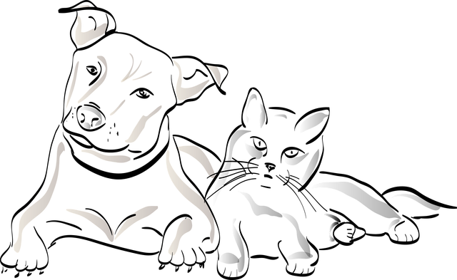 npressfetimg-3498.png