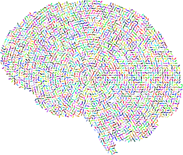 Evolving Minds Counselling: Psychologist’s Holistic Approach to Well-being