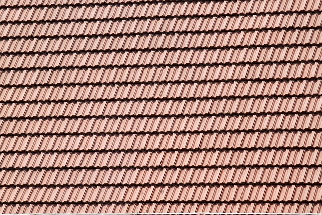 npressfetimg-3691.png
