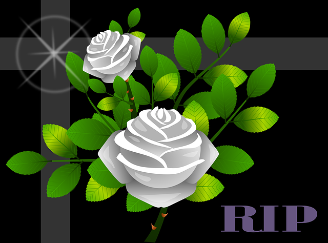 npressfetimg-3954.png
