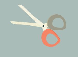 npressfetimg-4003.png
