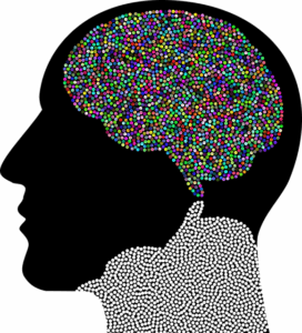 npressfetimg-4034.png