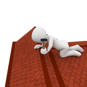 npressfetimg-4066.png