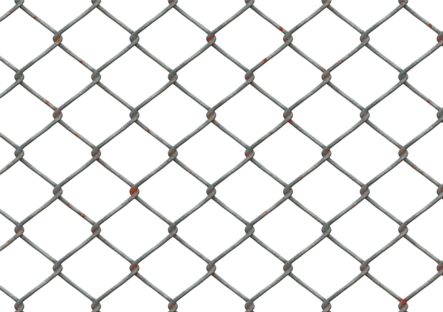 npressfetimg-4171.png