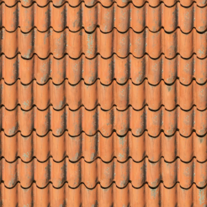 npressfetimg-4288.png