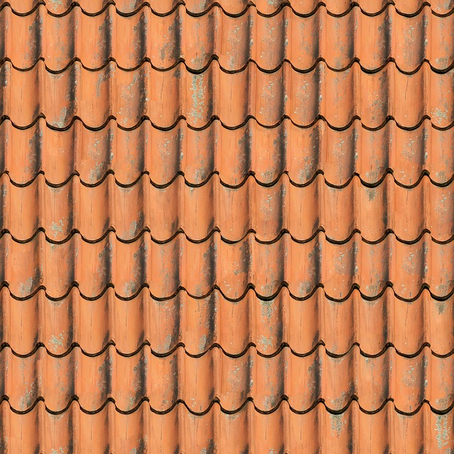Steeline: Bendigo’s Weather-Resistant Roofing Solution for Extreme Conditions
