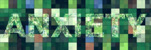 npressfetimg-4295.png