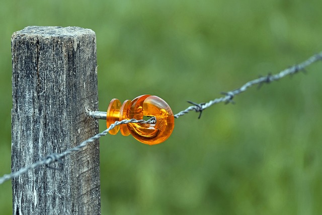 Steeline: Durable Fencing with Aesthetic Flexibility in Bendigo