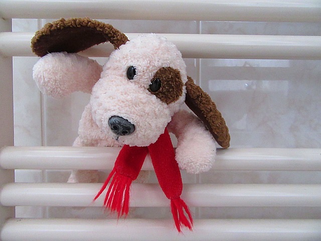 Professional Anal Gland Expression: Albury Dog Groomer’s Guide to Paw4paws Service