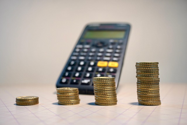 Adelaide Investments: Consistent Growth Strategies for Wealth Within