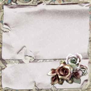 npressfetimg-4516.png