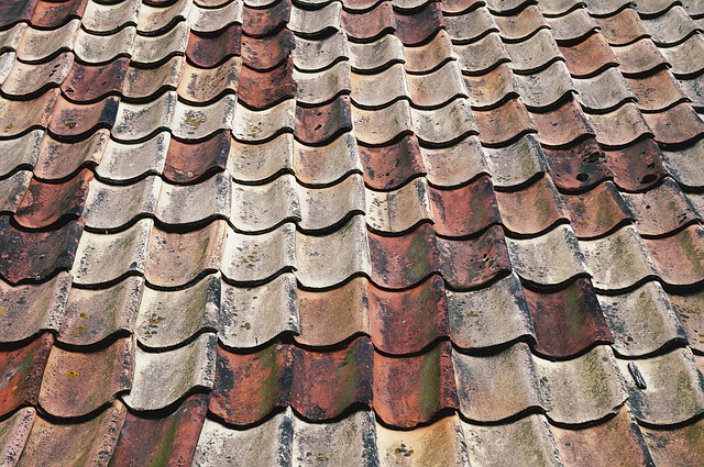Steeline Roofing Centre Bendigo: Expert Colorbond Roof Repairs & Maintenance Guide