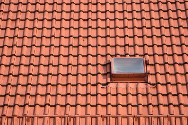 Reliable Roof Installation: Expert Guidance for Long-Lasting Protection