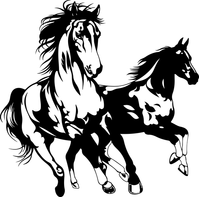 npressfetimg-4723.png