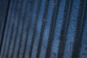 npressfetimg-4802.png