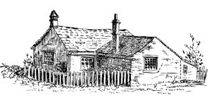 npressfetimg-663.png