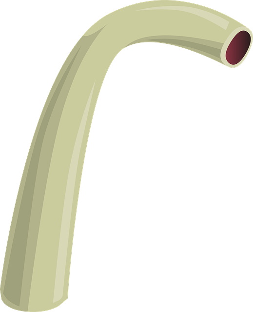 npressfetimg-747.png