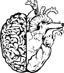 npressfetimg-826.png