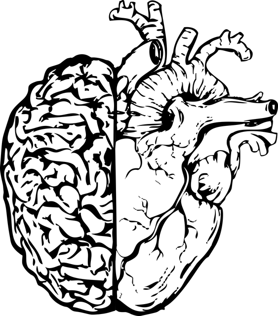 npressfetimg-826.png