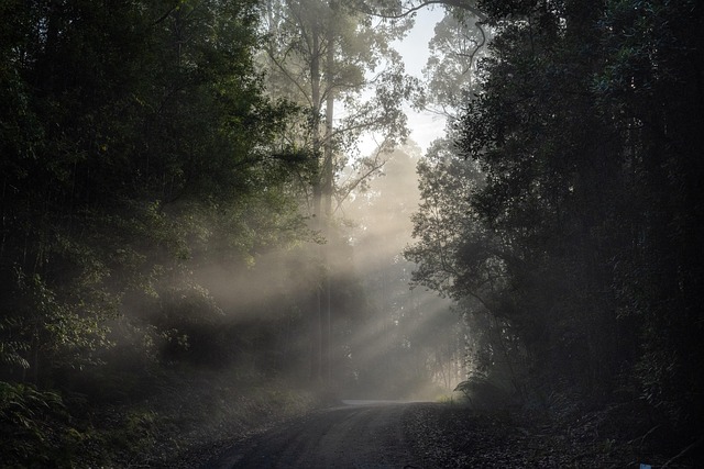 Explore Australia’s Top Caravan-Friendly National Parks