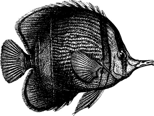 npressfetimg-91.png