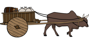 npressfetimg-936.png