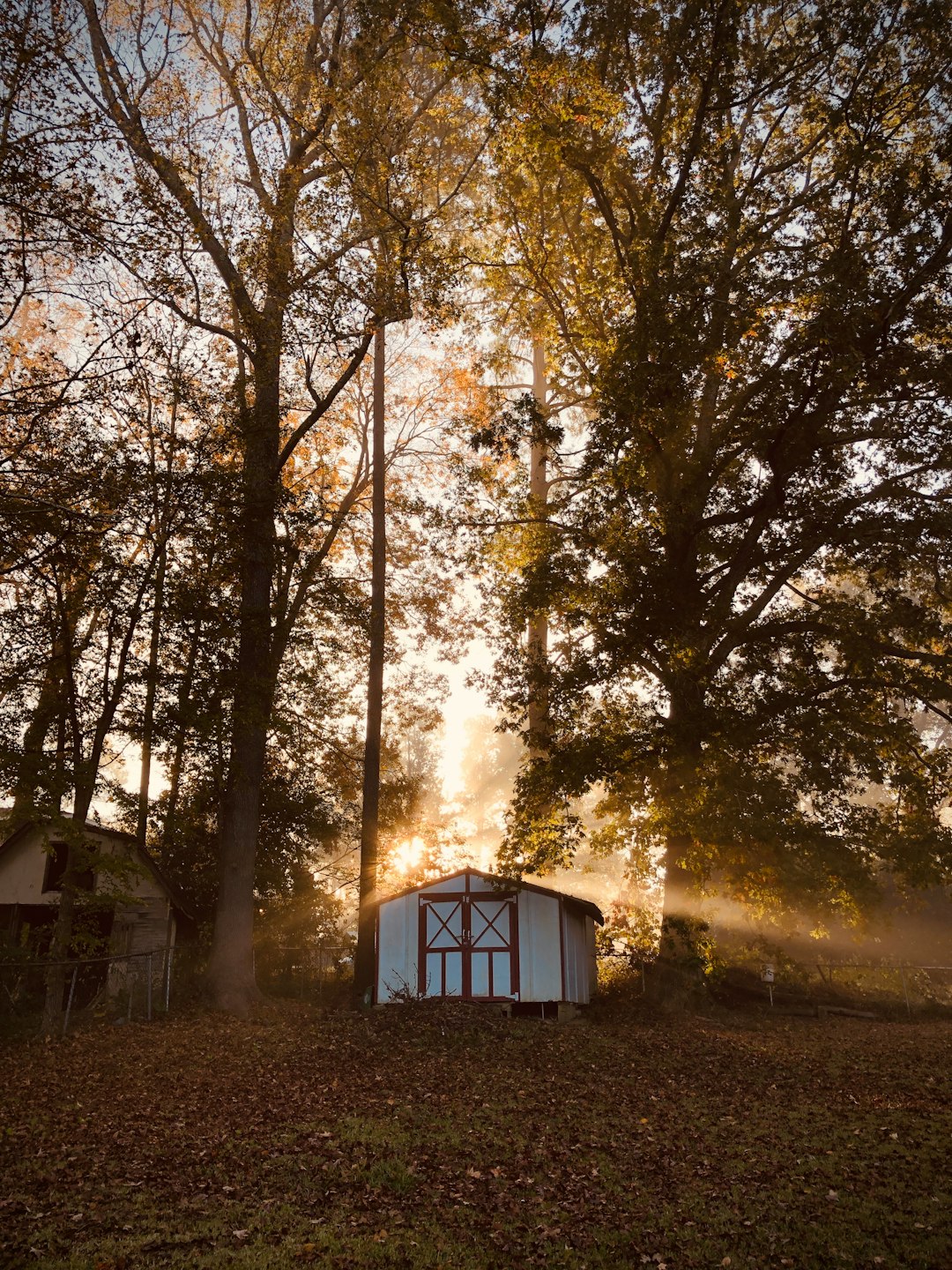 sheds