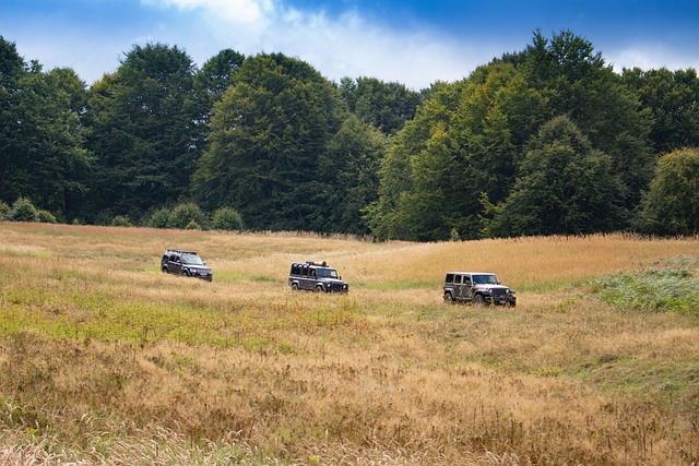 all-terrain caravans