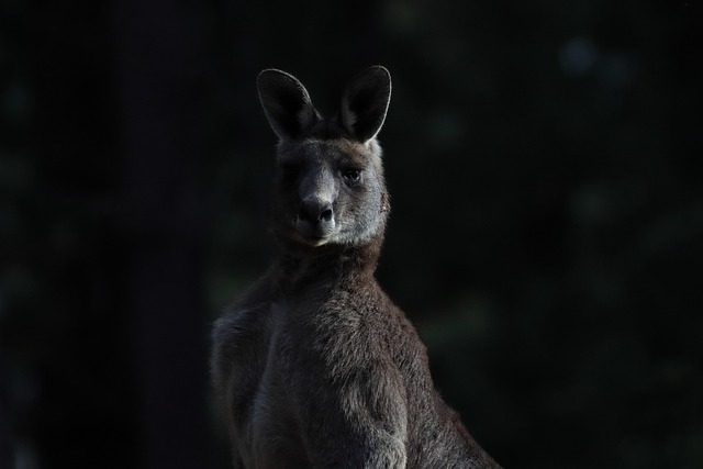 Australian locations