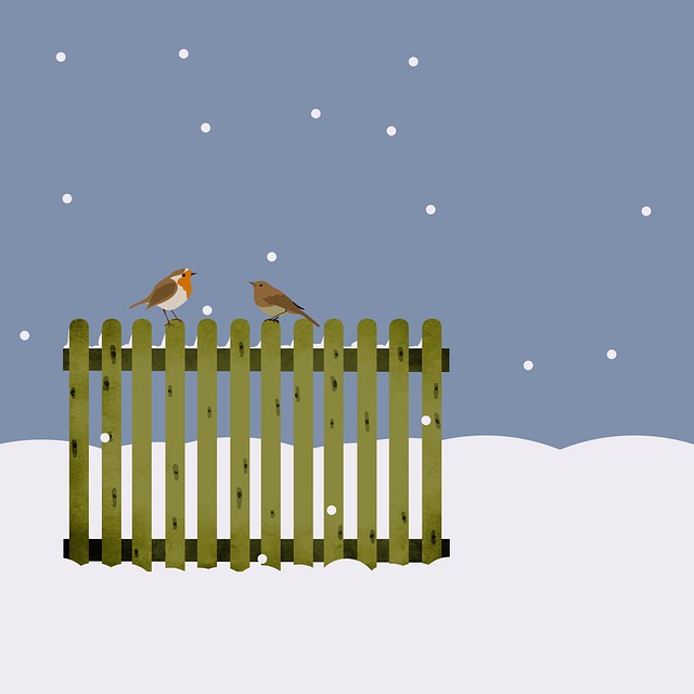 backyard-colorbond-fences-640x480-71039986.jpeg