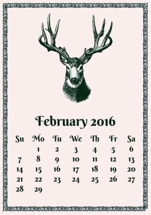 calendar-640x480-16963542.jpeg
