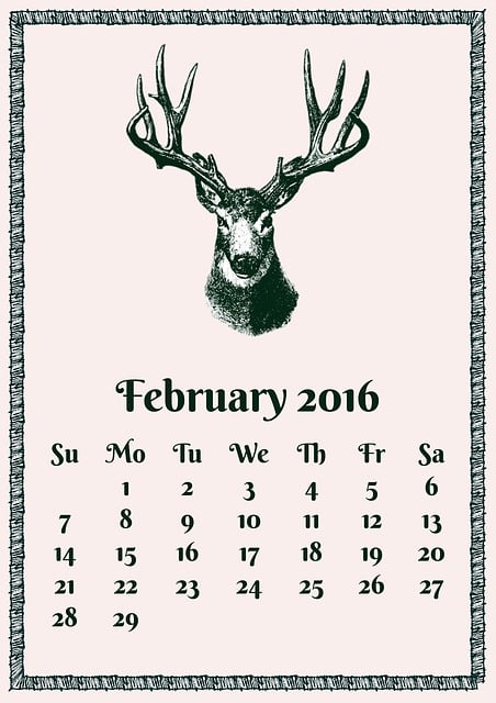 calendar-640x480-16963542.jpeg
