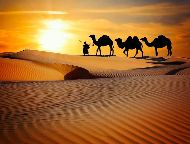 caravan-accessories-australian-caravans-640x480-54339243.jpeg