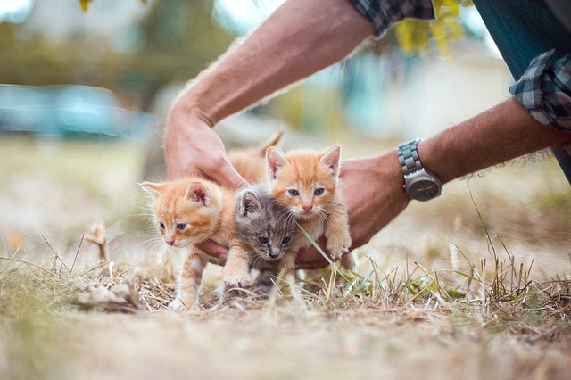 caring