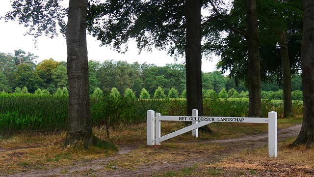 colorbond fencing