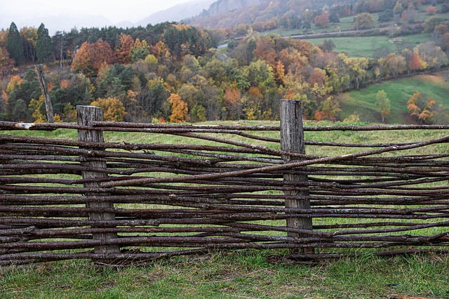 colorbond fencing