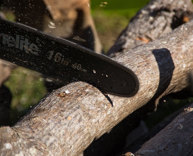 cordless-chainsaw-640x480-4029952.jpeg