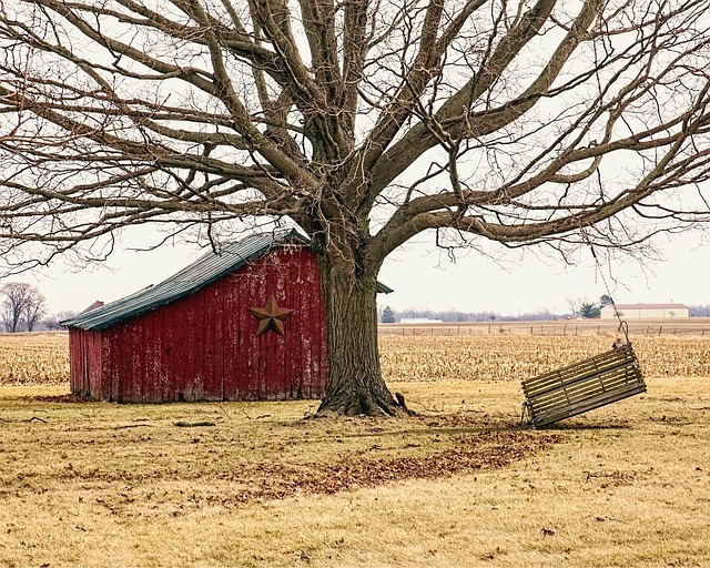 Farm Shed