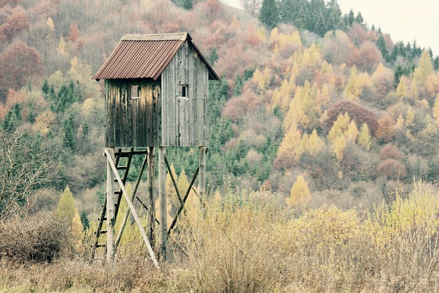 Farm Shed