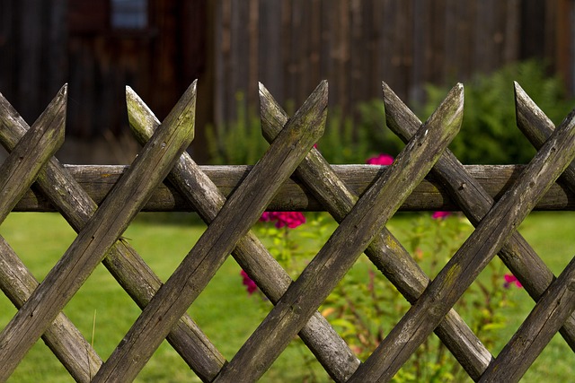 fence