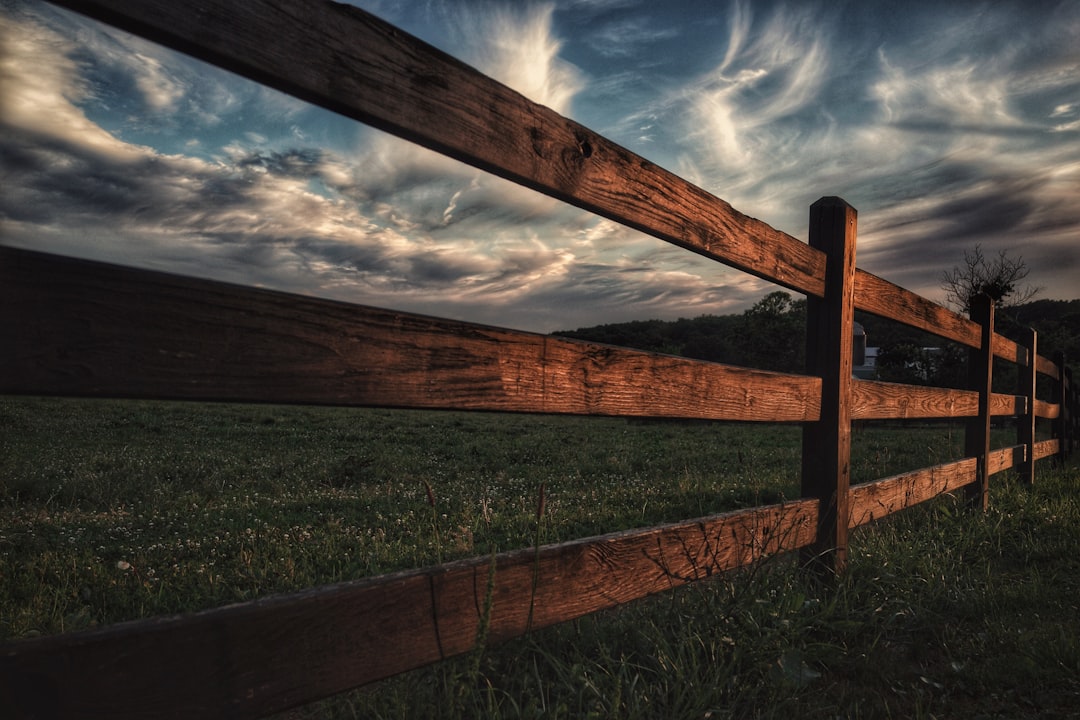 fence