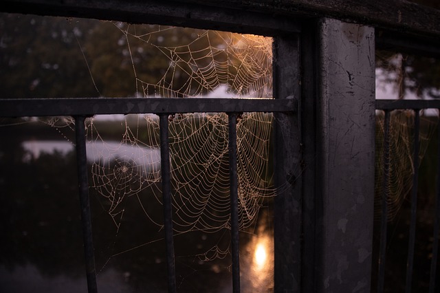 fence