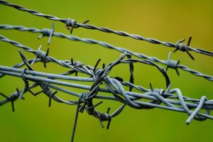Transparent Fencing Prices: Steeline Bendigo’s Clear Costing Guide
