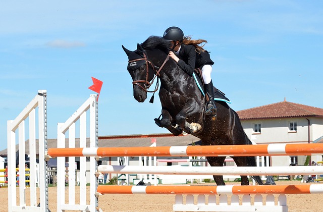 horse