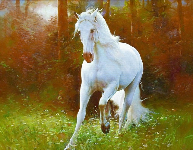 horse