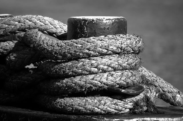 horse lead rope