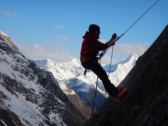 horse-lead-rope-640x480-49939402.jpeg