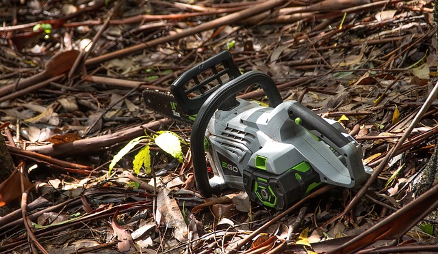 husqvarna-electric-chainsaw-husqvarna-e-640x480-12734987.jpeg