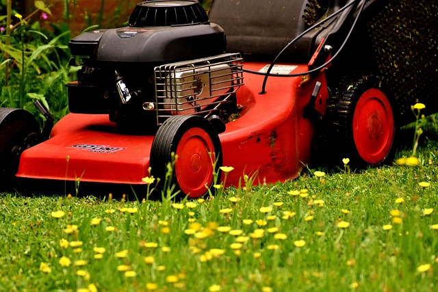 Lawn Mower, robot lawn mower, lawnmower