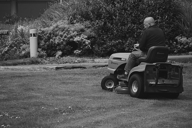 Lawn Mower, robot lawn mower, lawnmower